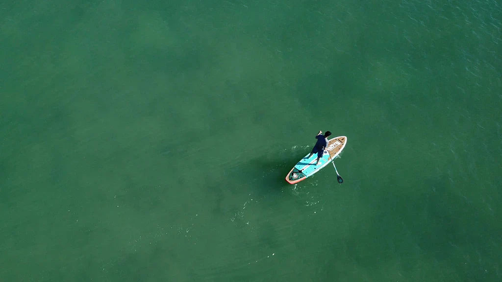 Looking Forward: Top Products of the Summer