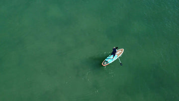 Looking Forward: Top Products of the Summer